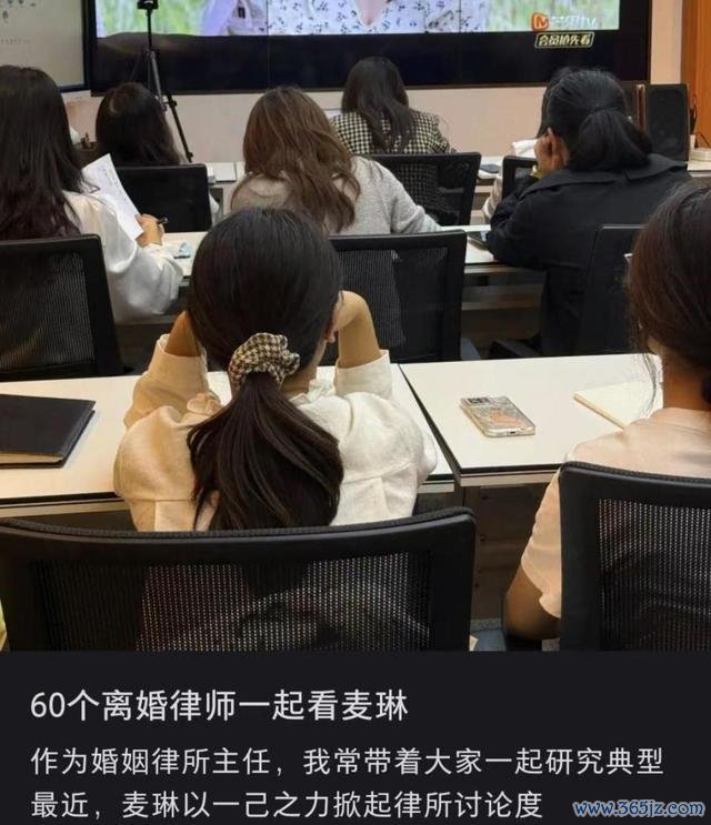 媒体：麦琳 被审判的主妇 全网热议的气候级话题