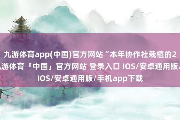 九游体育app(中国)官方网站“本年协作社栽植的2000亩水稻-九游体育「中国」官方网站 登录入口 IOS/安卓通用版/手机app下载